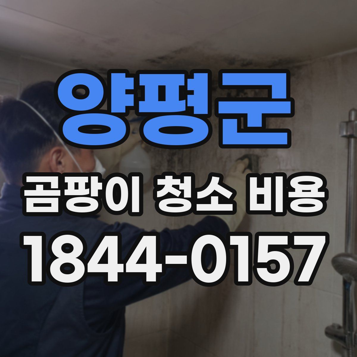 양평군 곰팡이 청소 비용