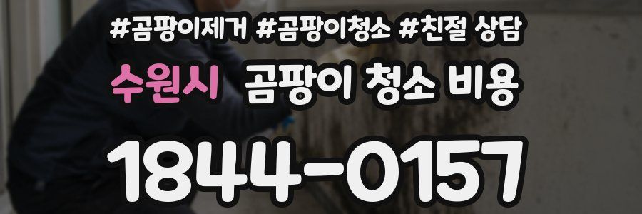 수원시 곰팡이 청소 비용