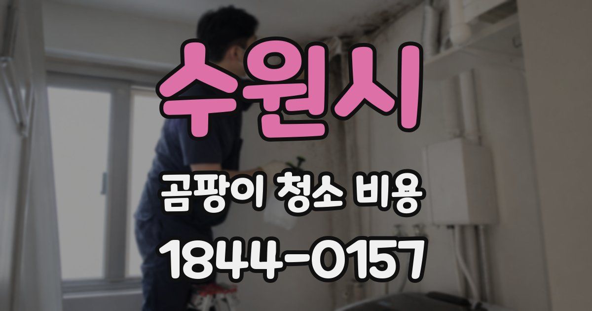 수원시 곰팡이 청소 비용