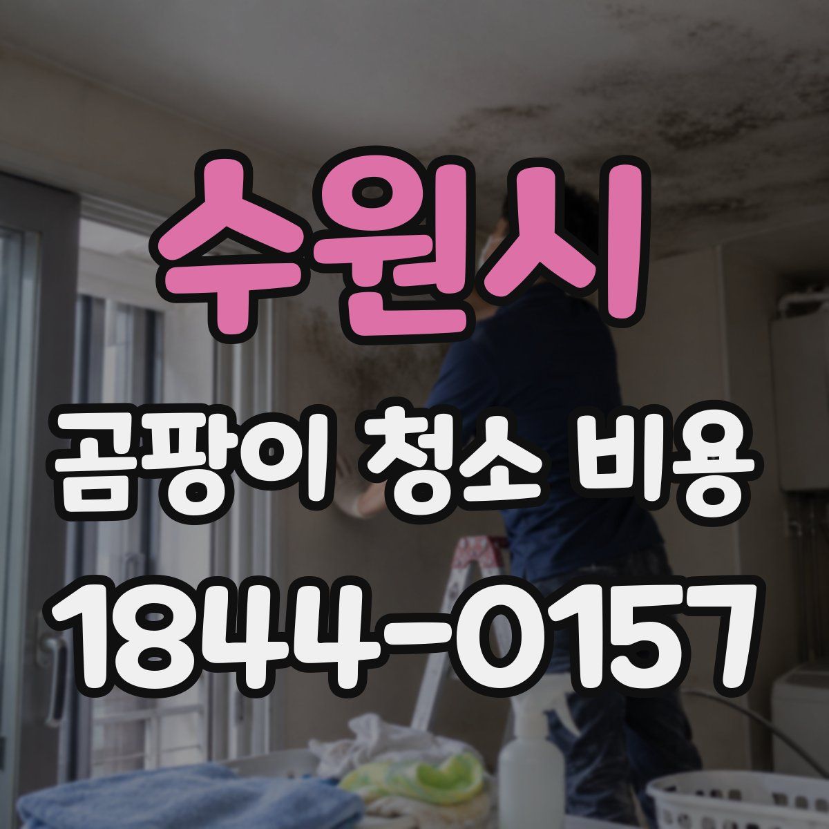 수원시 곰팡이 청소 비용
