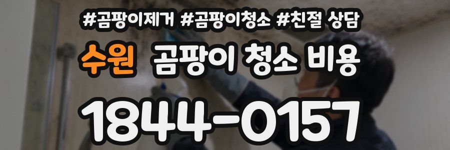 수원 곰팡이 청소 비용