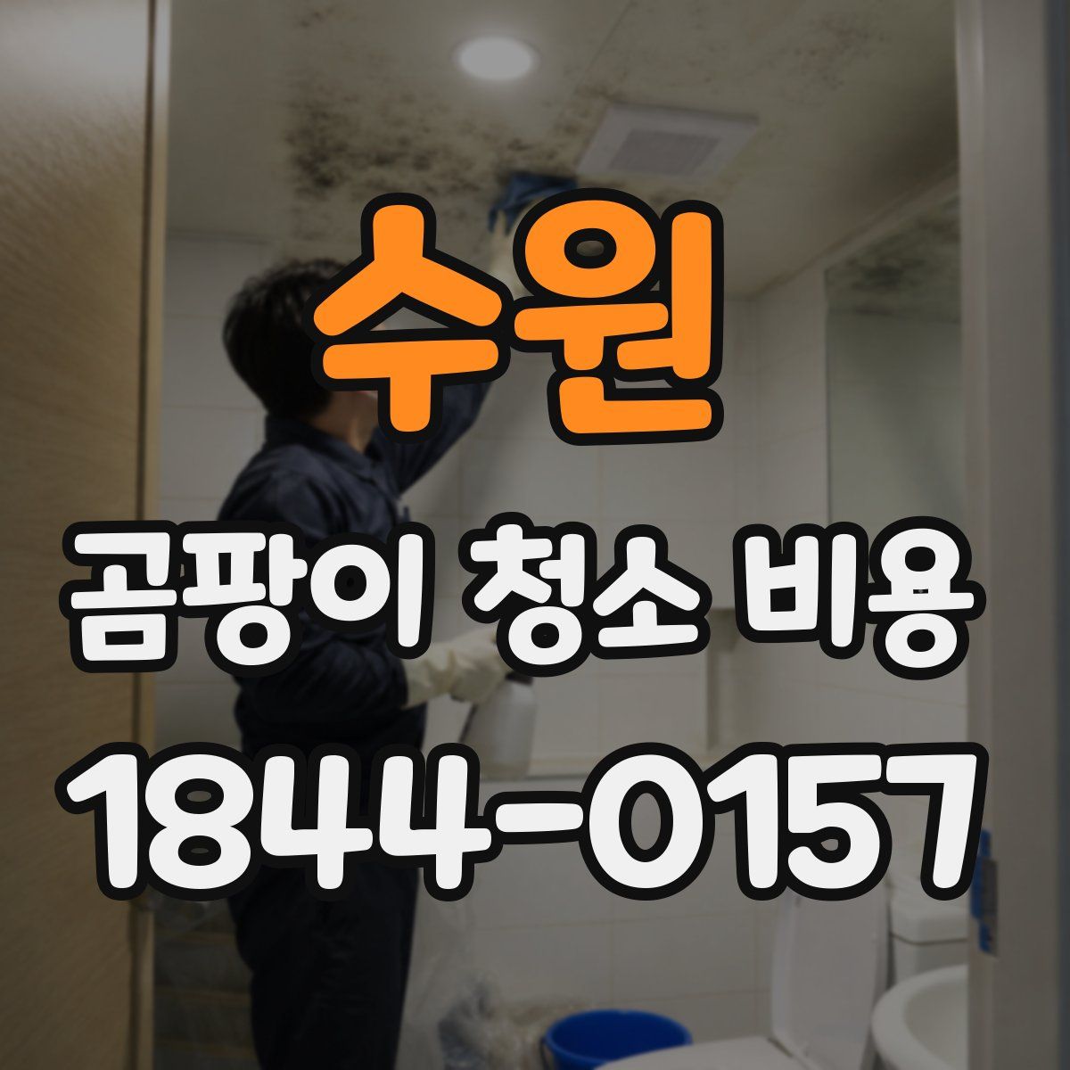 수원 곰팡이 청소 비용