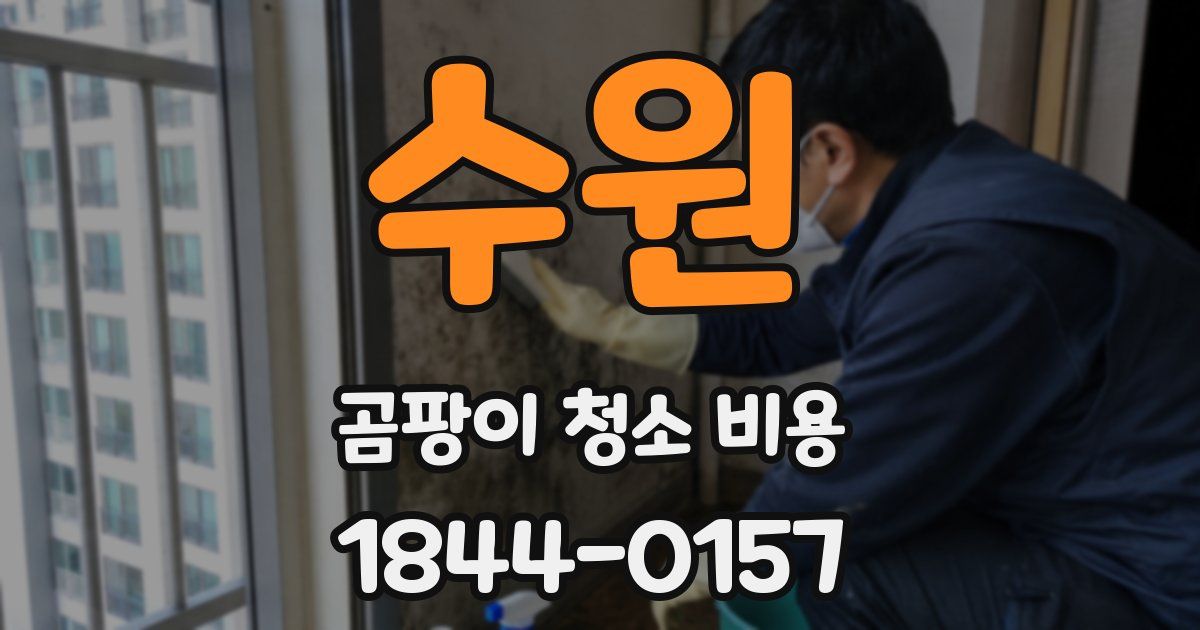 수원 곰팡이 청소 비용