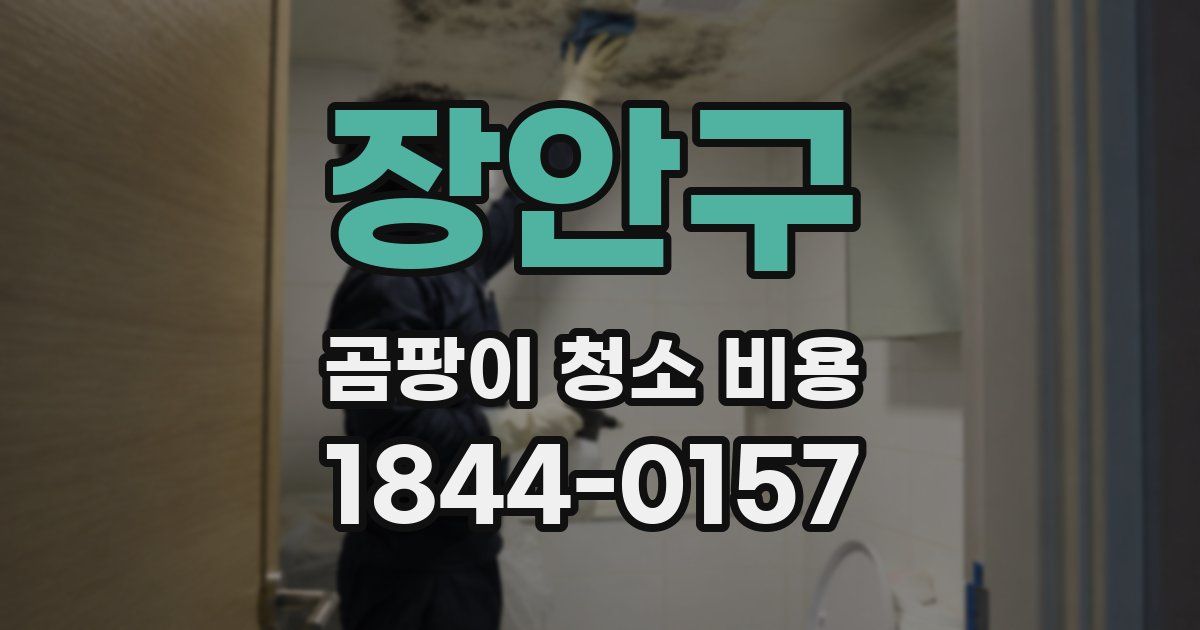 장안구 곰팡이 청소 비용
