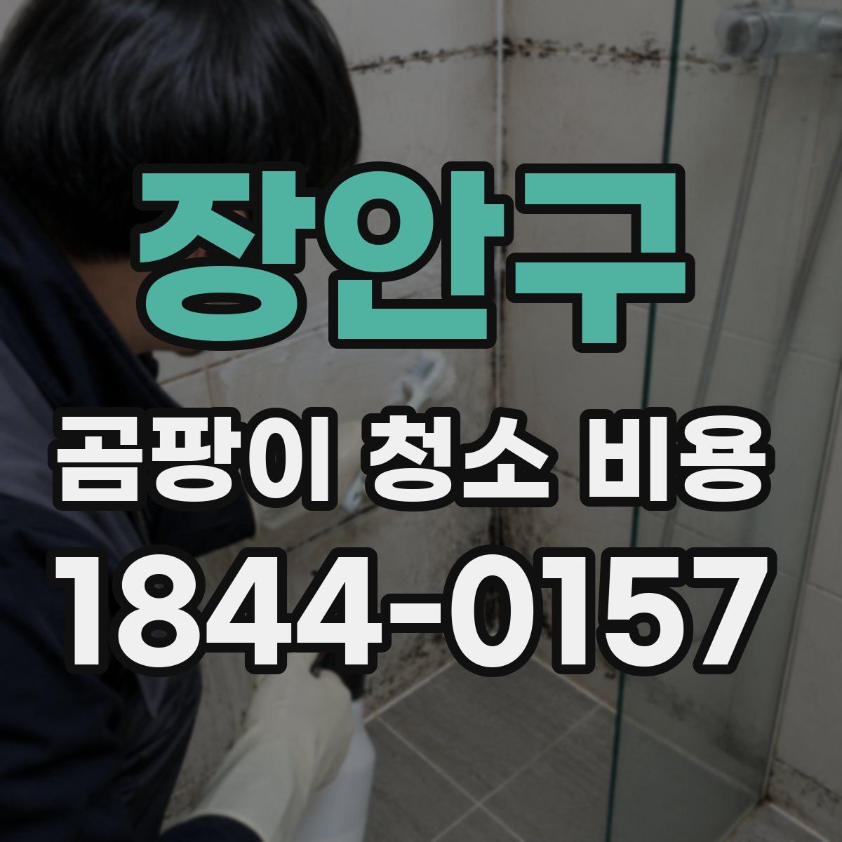 장안구 곰팡이 청소 비용
