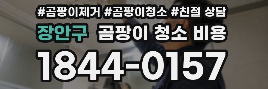 장안구 곰팡이 청소 비용