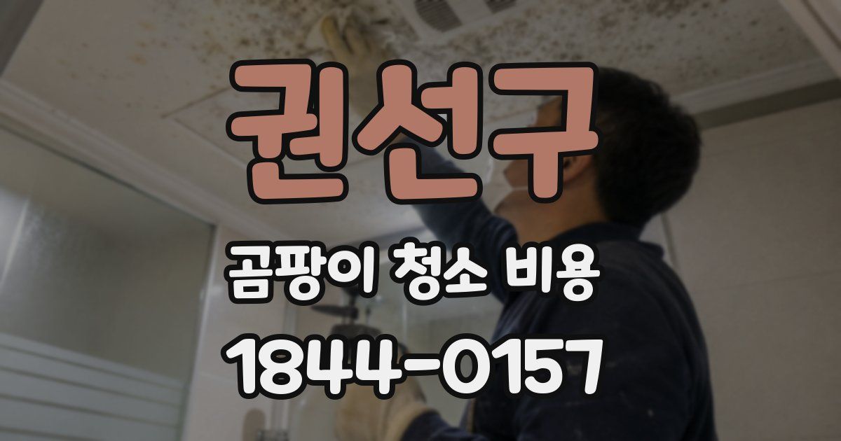 권선구 곰팡이 청소 비용