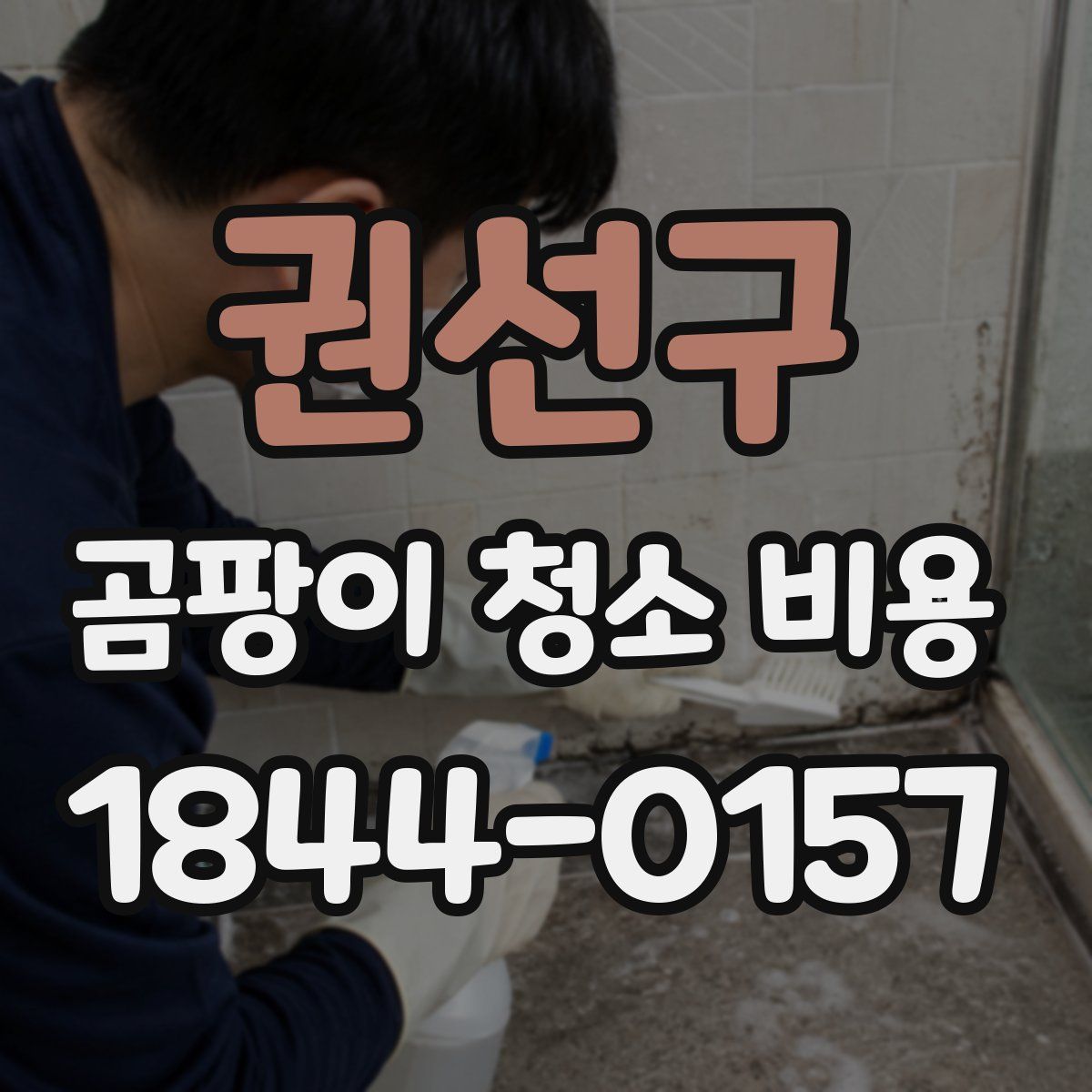 권선구 곰팡이 청소 비용