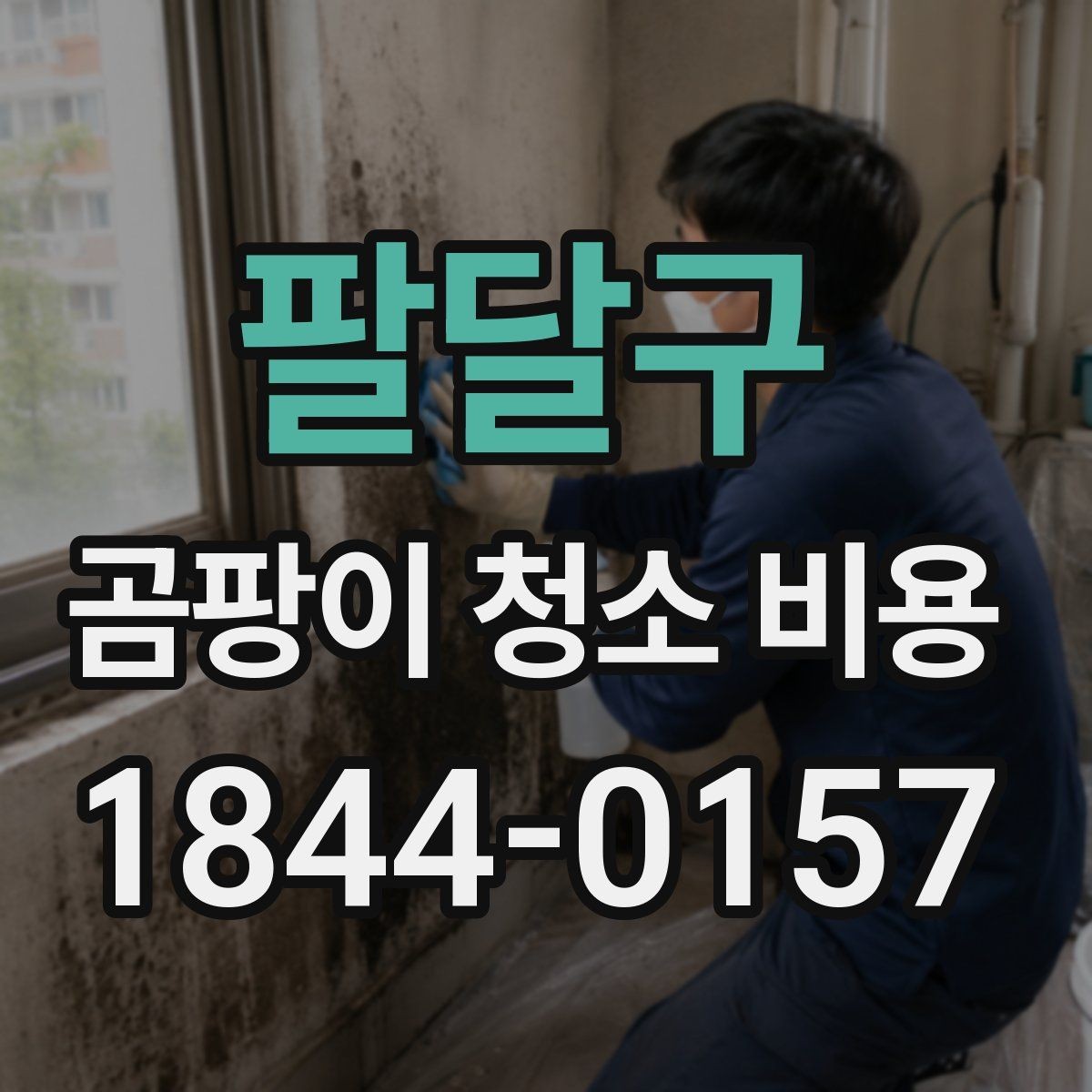 팔달구 곰팡이 청소 비용 문의 시 현장 사진이 중요한 이유