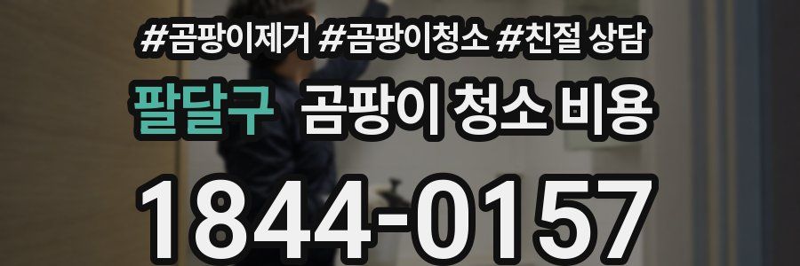 팔달구 곰팡이 청소 비용