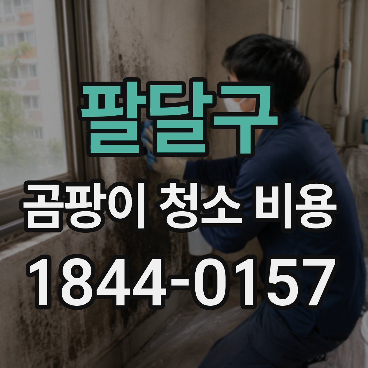 팔달구 곰팡이 청소 비용