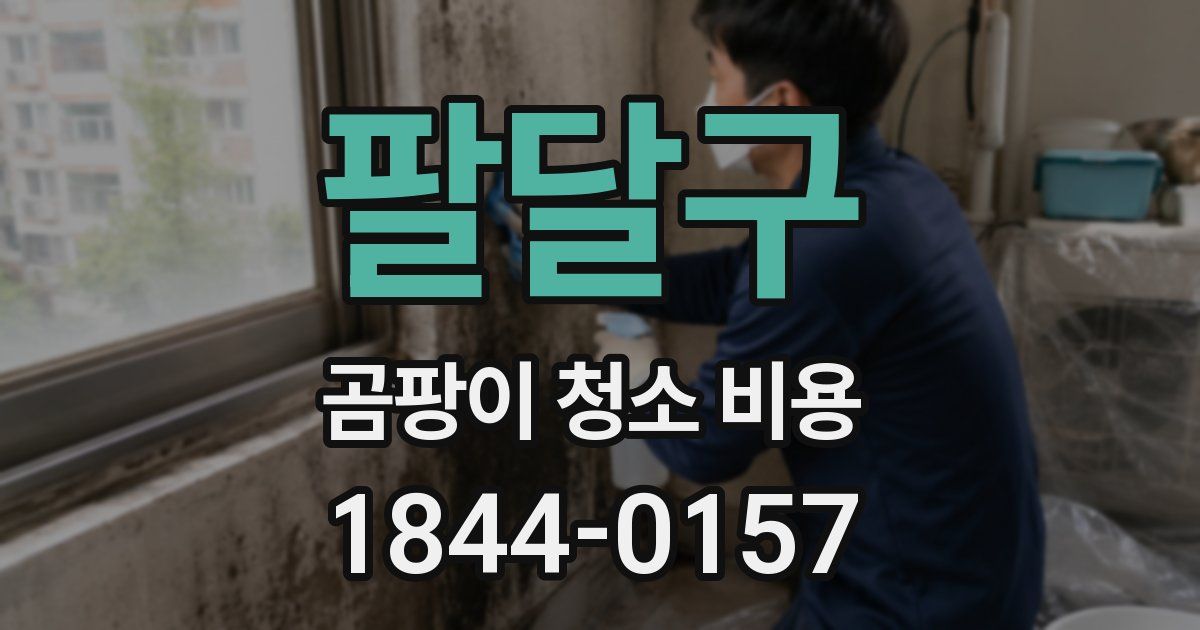 팔달구 곰팡이 청소 비용