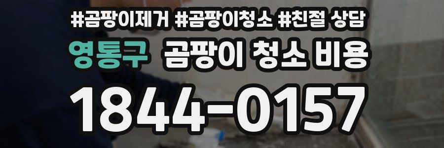 영통구 곰팡이 청소 비용