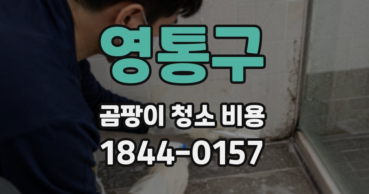 영통구 곰팡이 청소 비용