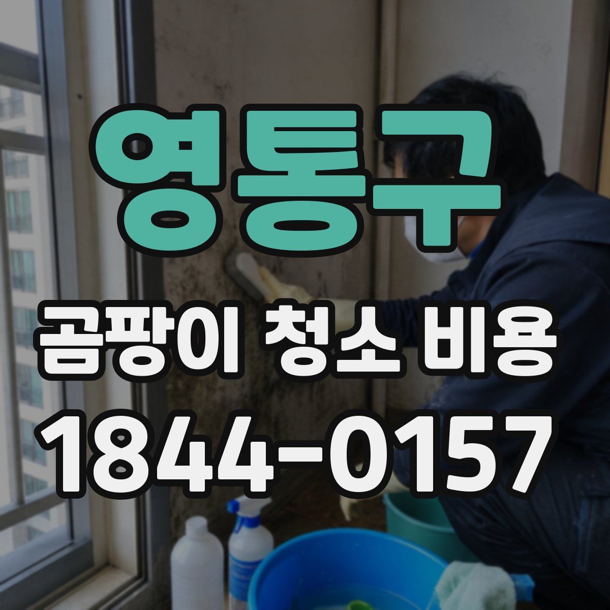 영통구 곰팡이 청소 비용