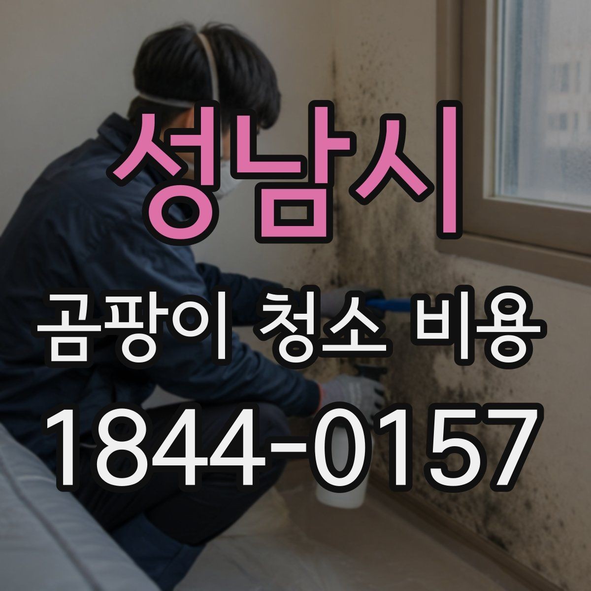 성남시 곰팡이 청소 비용 문의 전 준비하면 좋은 정보
