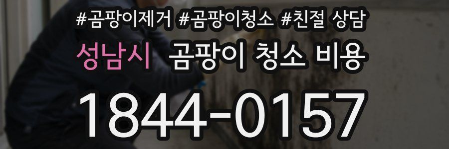 성남시 곰팡이 청소 비용