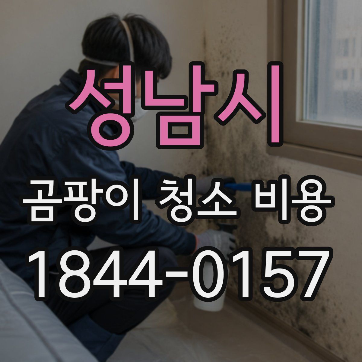 성남시 곰팡이 청소 비용