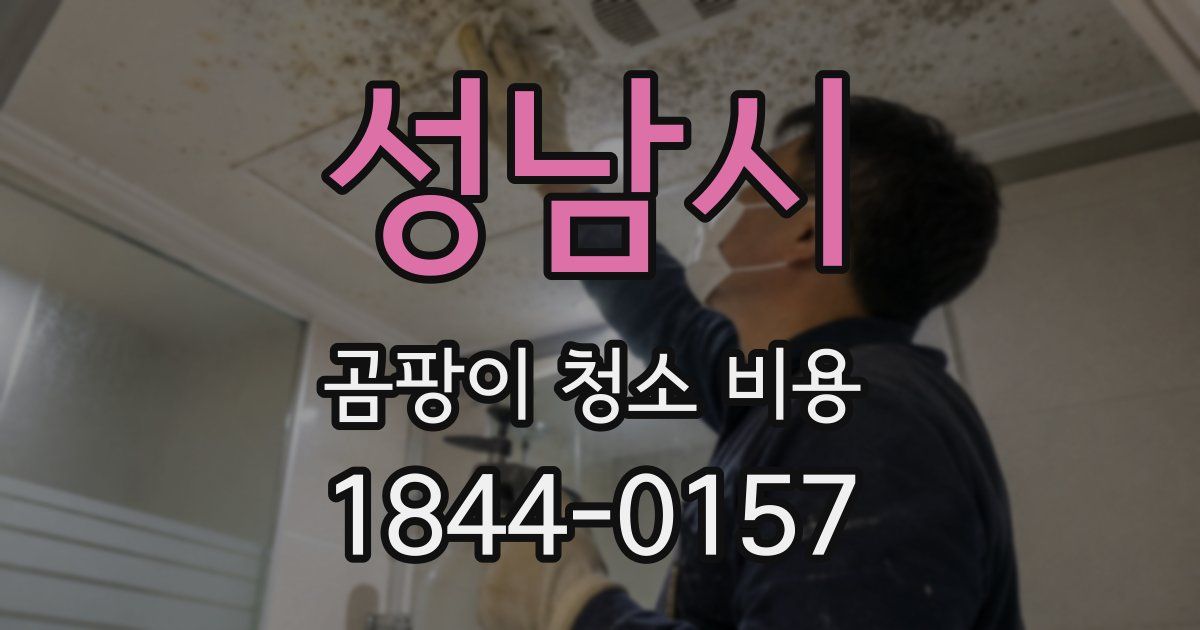 성남시 곰팡이 청소 비용