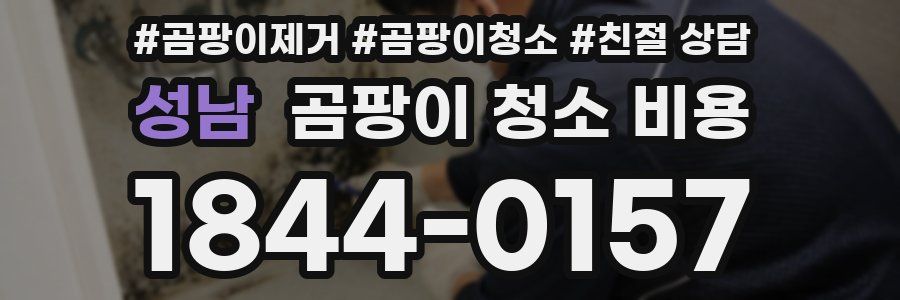 성남 곰팡이 청소 비용