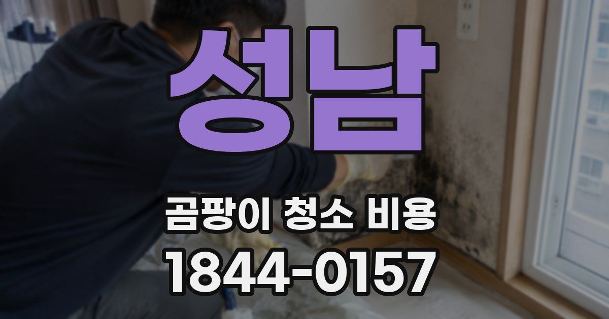 성남 곰팡이 청소 비용