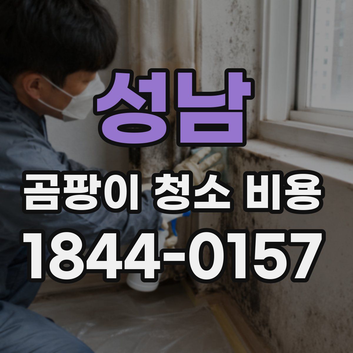 성남 곰팡이 청소 비용