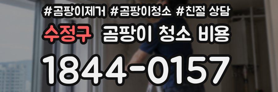 수정구 곰팡이 청소 비용