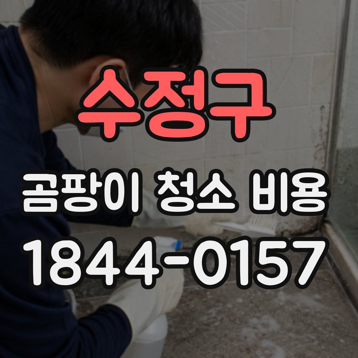 수정구 곰팡이 청소 비용