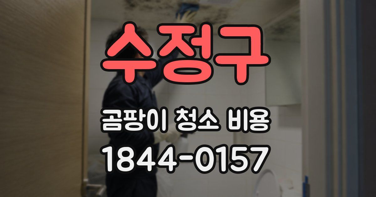 수정구 곰팡이 청소 비용
