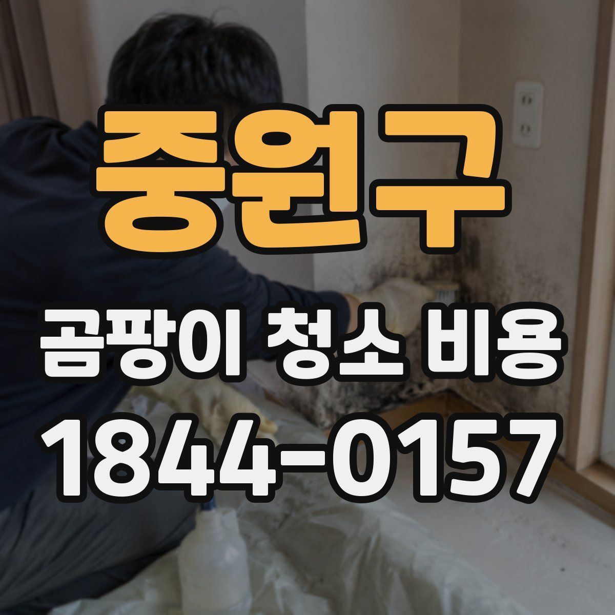 중원구 곰팡이 청소 비용