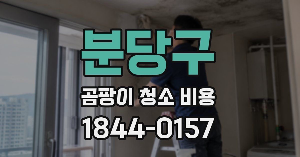 분당구 곰팡이 청소 비용