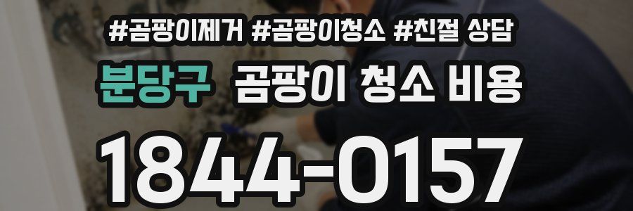 분당구 곰팡이 청소 비용