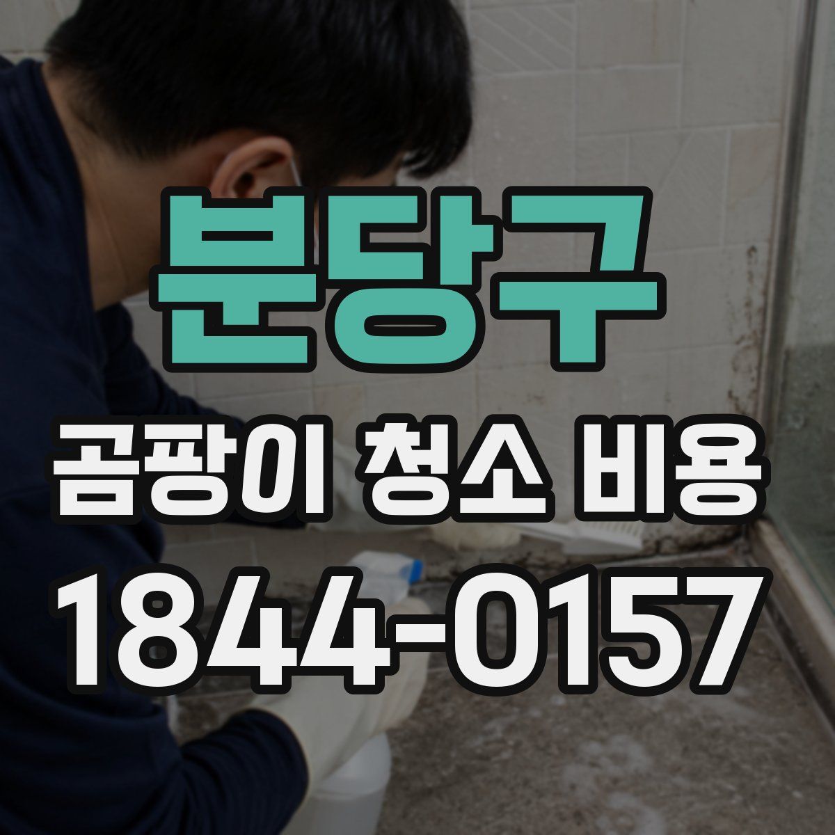 분당구 곰팡이 청소 비용