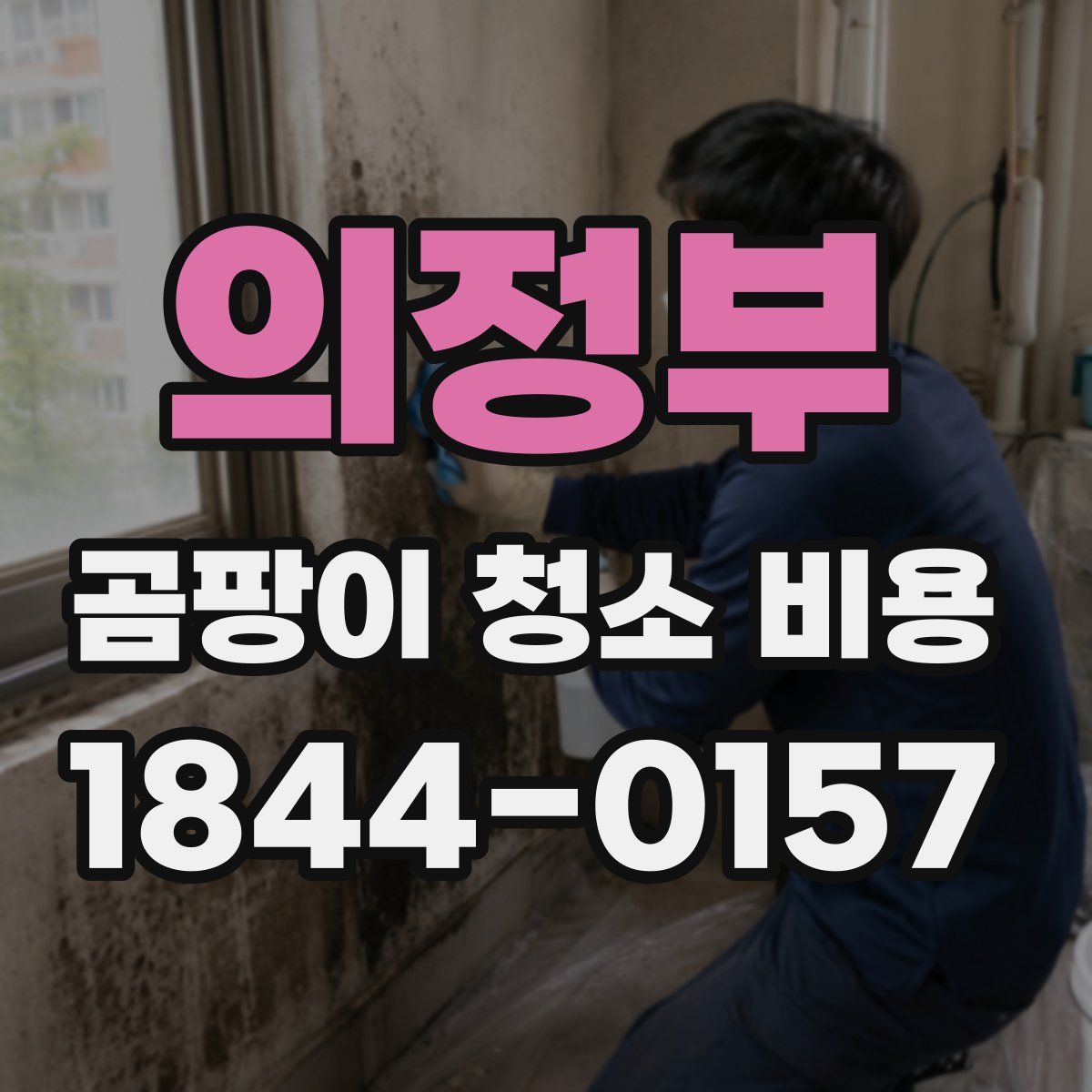 의정부 곰팡이 청소 비용