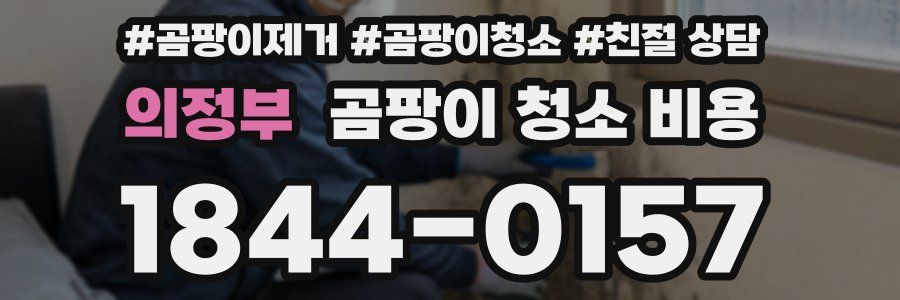 의정부 곰팡이 청소 비용