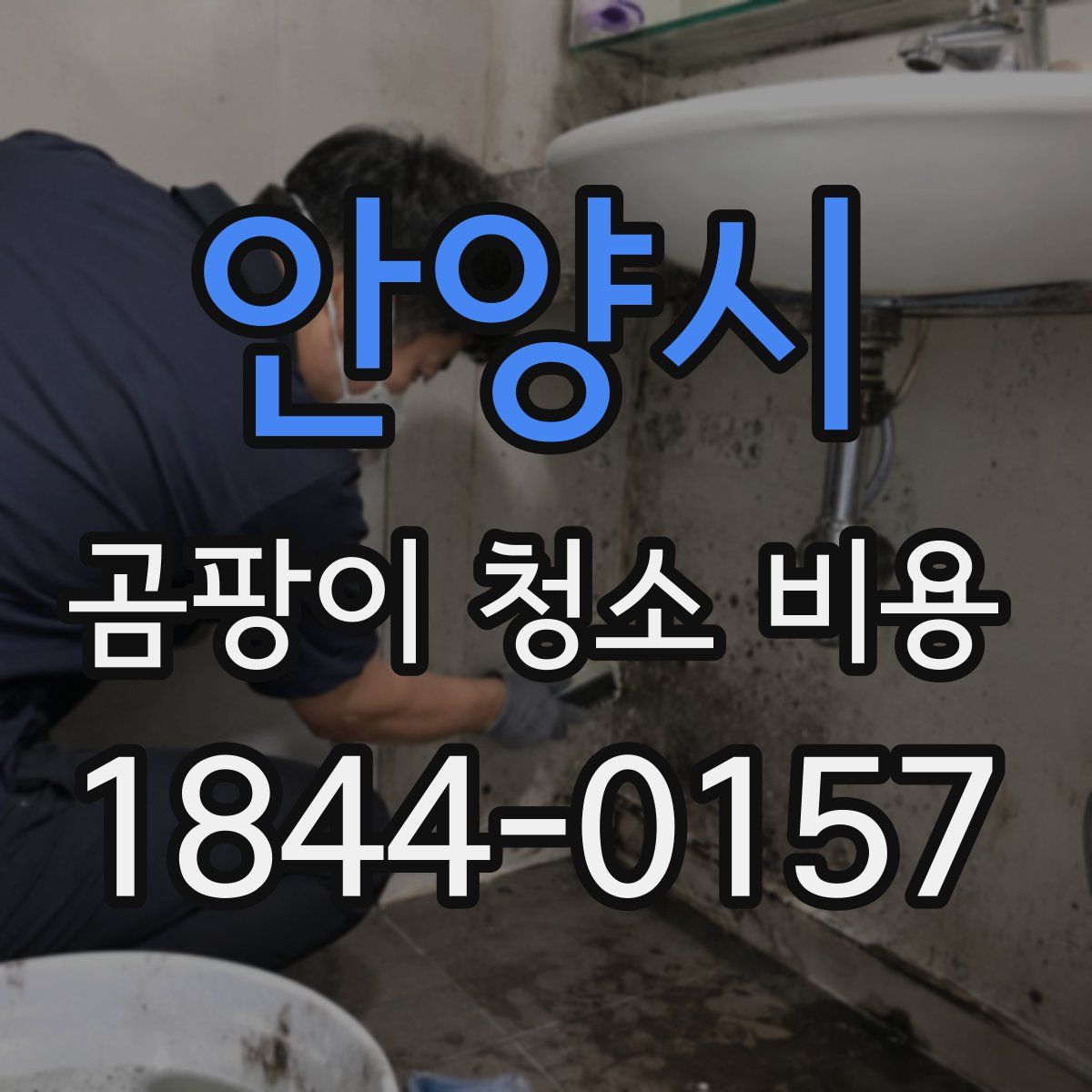 안양시 곰팡이 청소 비용