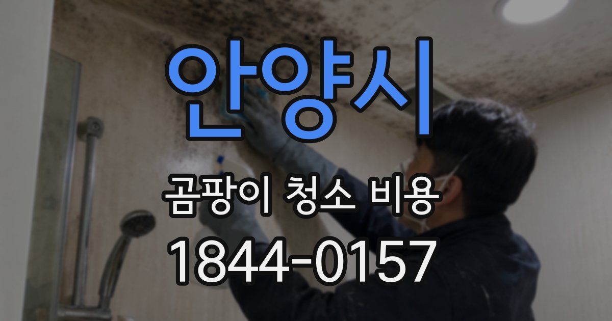 안양시 곰팡이 청소 비용