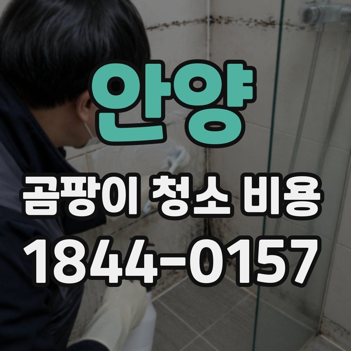 안양 곰팡이 청소 비용 산정 기준과 확인 포인트