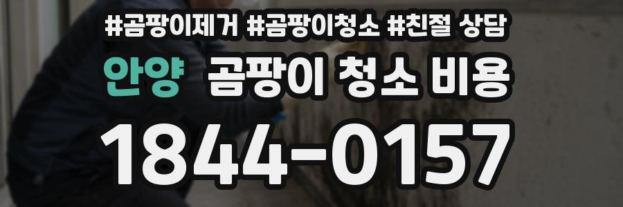 안양 곰팡이 청소 비용