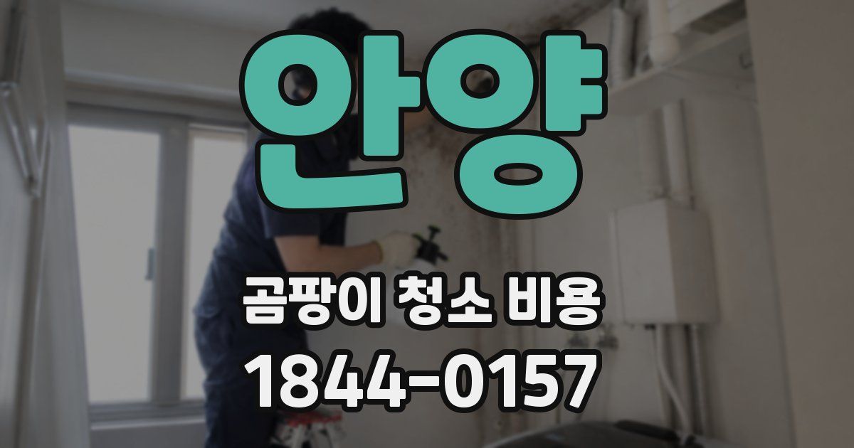 안양 곰팡이 청소 비용