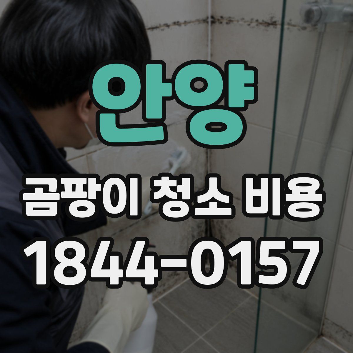 안양 곰팡이 청소 비용