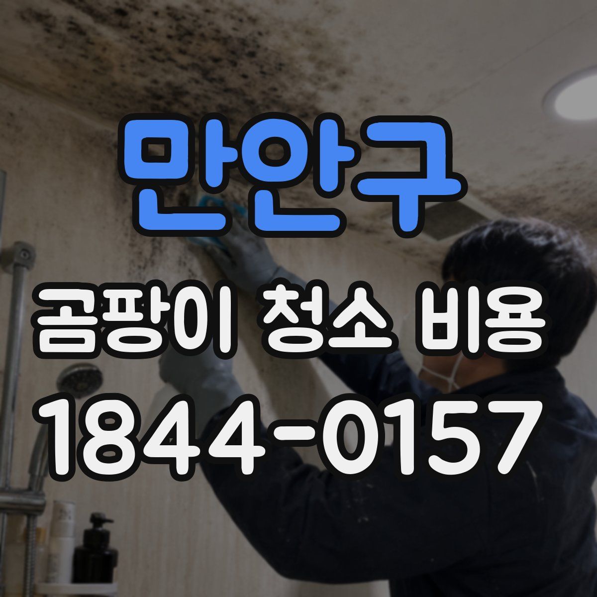 만안구 곰팡이 청소 비용