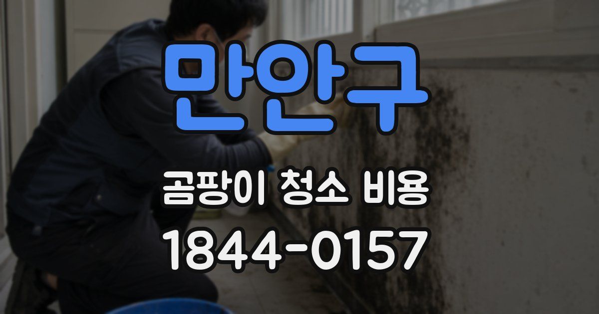 만안구 곰팡이 청소 비용