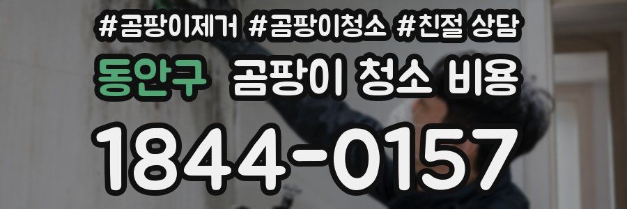 동안구 곰팡이 청소 비용