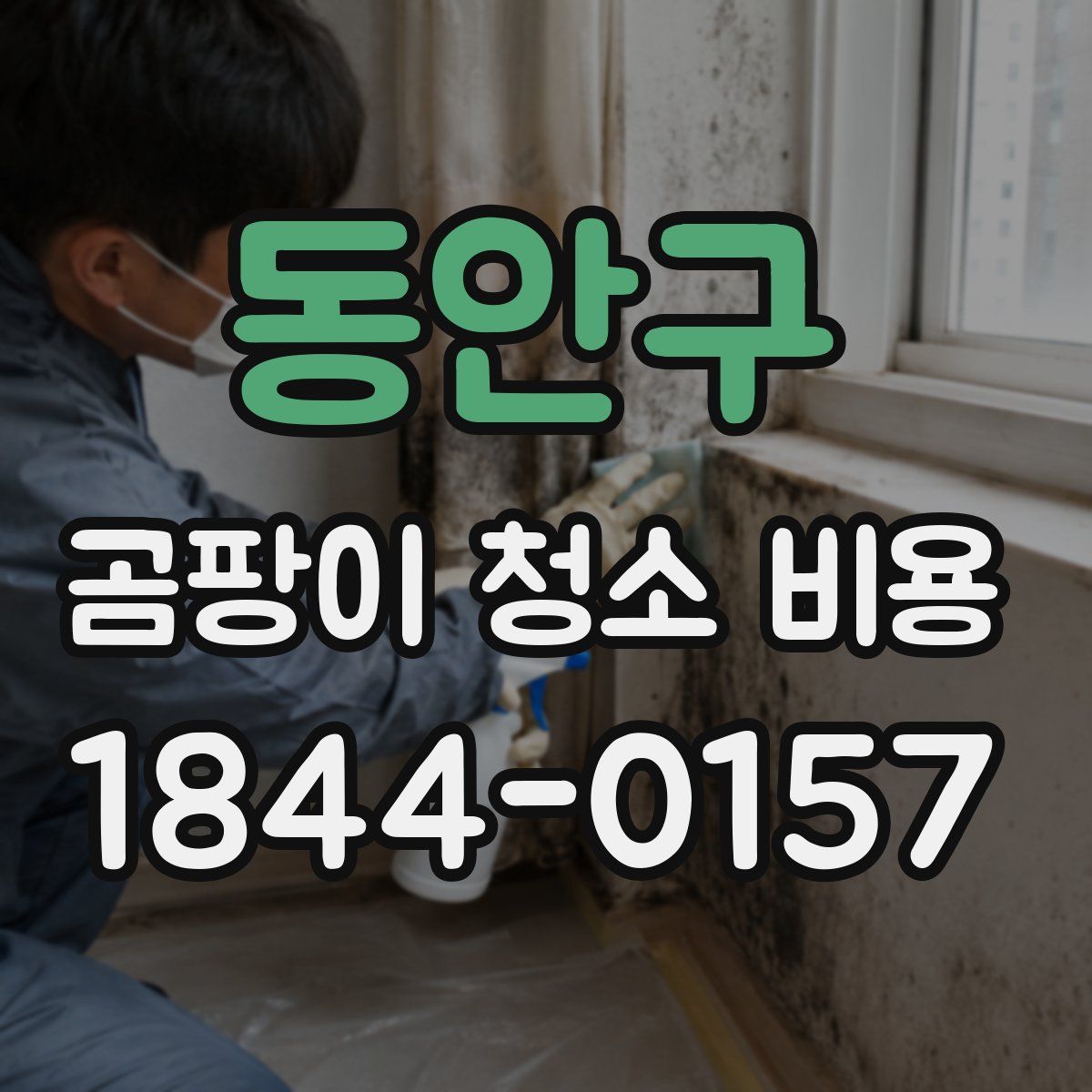 동안구 곰팡이 청소 비용