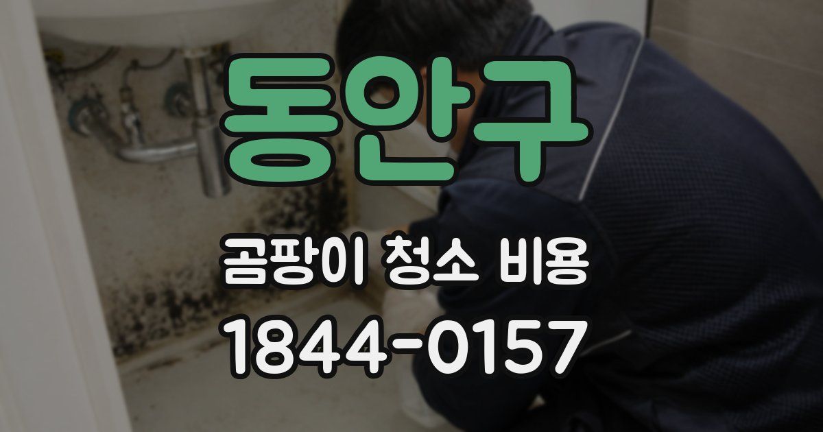 동안구 곰팡이 청소 비용