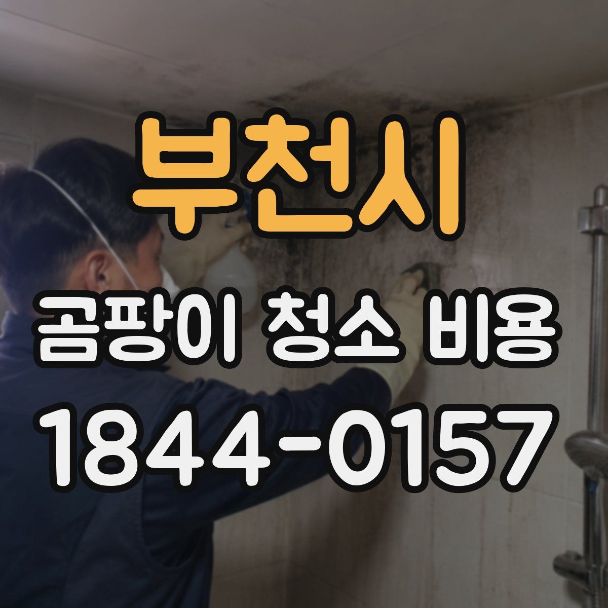 부천시 곰팡이 청소 비용