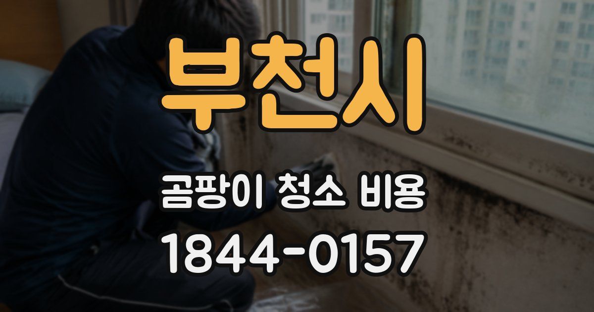 부천시 곰팡이 청소 비용