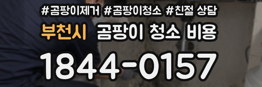 부천시 곰팡이 청소 비용