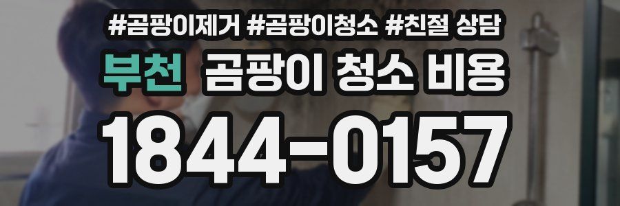 부천 곰팡이 청소 비용